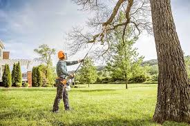 Professional Tree Services in Mcgaheysville, VA